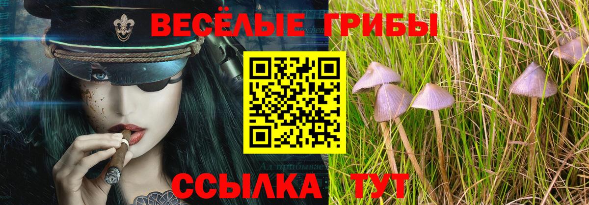 где продают   Галлюциногенные грибы ЛСД  Вход с VPN  Новочеркасск  Галлюциногенные грибы мицелий 